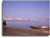 wp398c8459.png