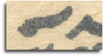 wp66d1a475.png