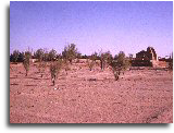 wpe80bfea3.png